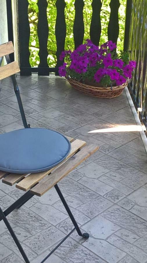 Apartman Ruzica Огулин Экстерьер фото